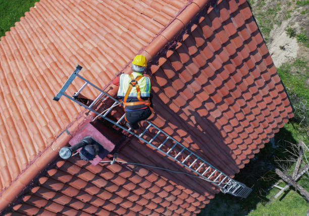 Best Roof Coating and Sealing  in Blue Ridge, TX